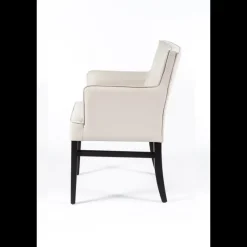 Sessio Diem 40 Fauteuil contemporain en synthétique et bois* Chaise De Cuisine|Chaise De Salle à Manger