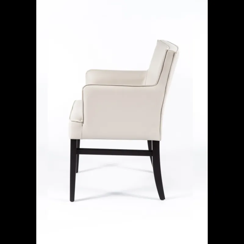 Sessio Diem 40 Fauteuil contemporain en synthétique et bois* Chaise De Cuisine|Chaise De Salle à Manger