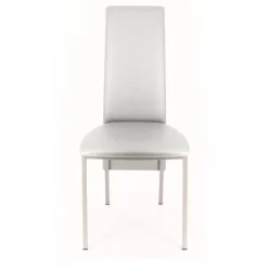 Perfecta Elyn Chaise contemporaine de salle à manger en simili* Chaise De Cuisine|Chaise De Salle à Manger