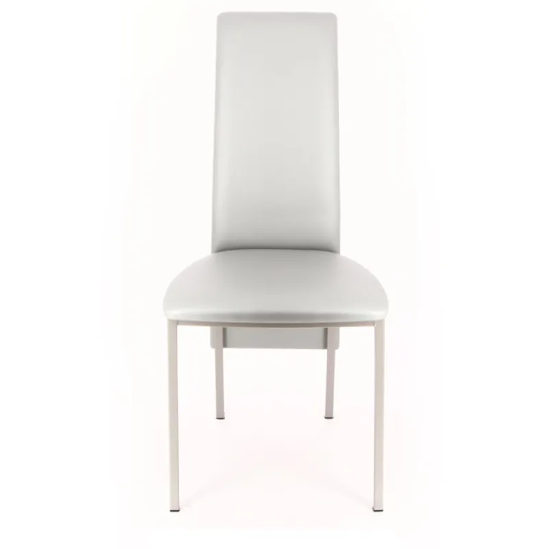 Perfecta Elyn Chaise contemporaine de salle à manger en simili* Chaise De Cuisine|Chaise De Salle à Manger