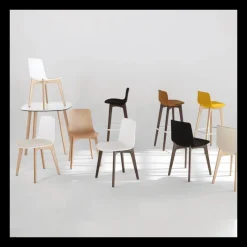 Enea Lottus ® Chaise design en polypropylène et pieds bois* Chaise De Cuisine|Chaise De Salle à Manger