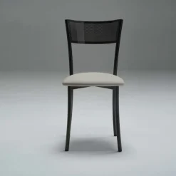 Carrier Wasabi ® Chaise moderne en synthétique et métal dossier ajouré* Chaise De Cuisine